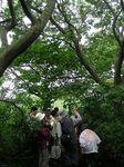公開講座保護区の植物