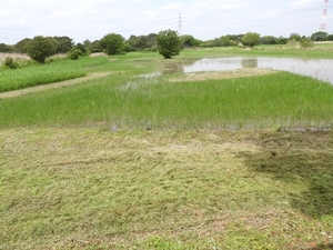 DSCN1597.jpg