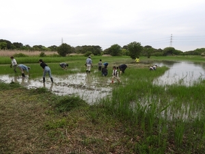 DSCN1613.jpg