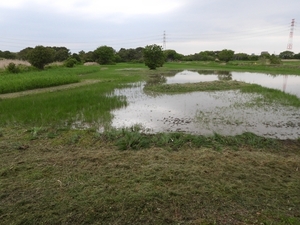 DSCN1625.jpg