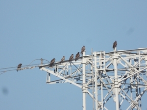 DSCN1738.jpg