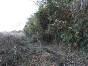 DSCN1776.jpg