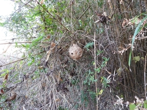 DSCN1780.jpg