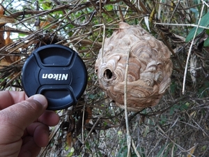 DSCN1784.jpg