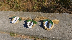 DSCN2034.jpg