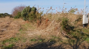 DSCN3870.jpg