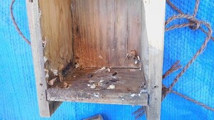 DSCN3975.jpg
