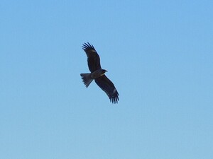 DSCN4031.JPG