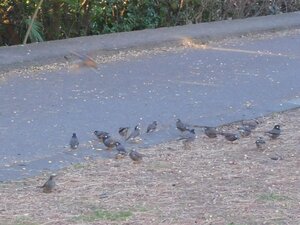 DSCN4039.JPG