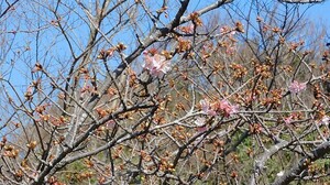 DSCN4060.JPG