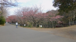 DSCN4092.jpg