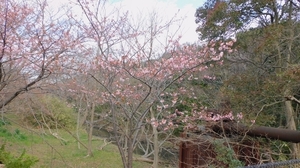 DSCN4093.jpg