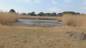 DSCN4098.jpg