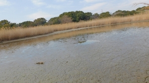 DSCN4099.jpg