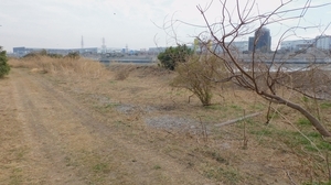 DSCN4104.jpg