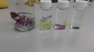 DSCN4187.jpg