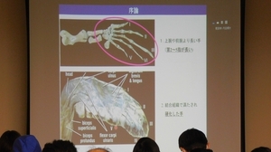 DSCN4197.jpg