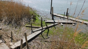 DSCN4222.jpg