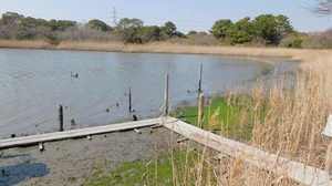 DSCN4223.jpg