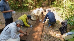 DSCN4230.jpg
