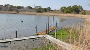 DSCN4235.jpg