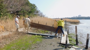 DSCN4247.jpg