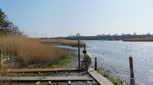 DSCN4252.jpg