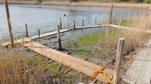 DSCN4253.jpg