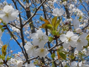 DSCN4269.jpg