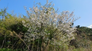 DSCN4280.jpg