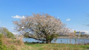 DSCN4309.jpg
