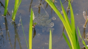DSCN4318.jpg