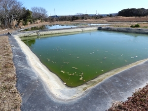 DSCN5242.jpg