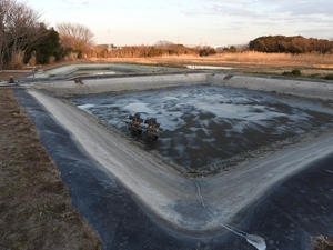 DSCN5380.jpg