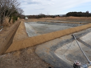 DSCN5600.jpg