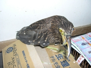 DSCN9289.jpg