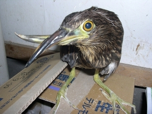 DSCN9291.jpg