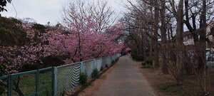 IMG_20250308_080012.jpg