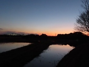 image5.jpeg